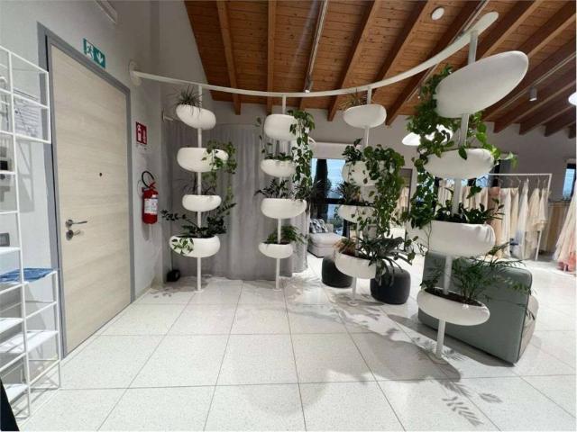 Locale Commerciale in vendita a Cella, Re