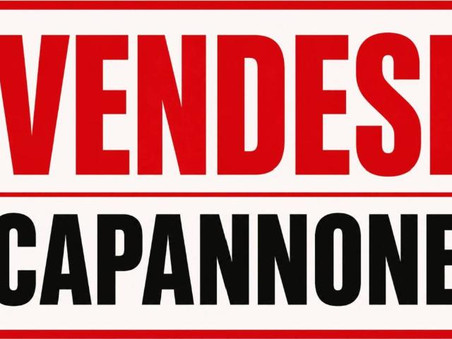 Locale Commerciale in vendita a Pieve Modolena, Re