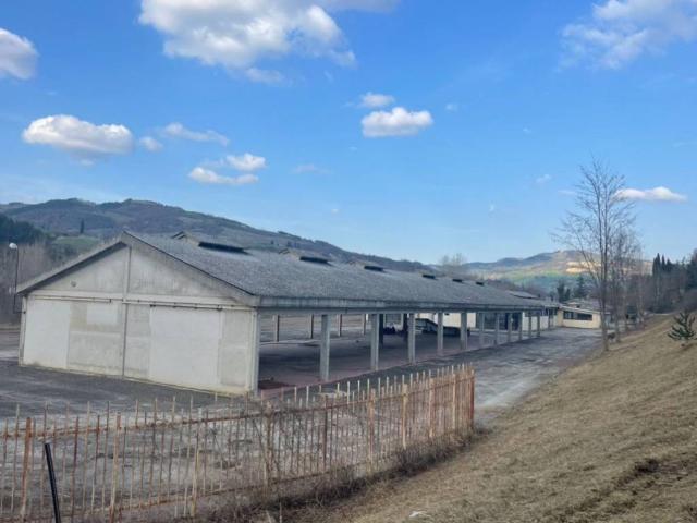 Locale Commerciale in vendita a Unione di Comuni della Romagna Forlivese, Rocca San Casciano