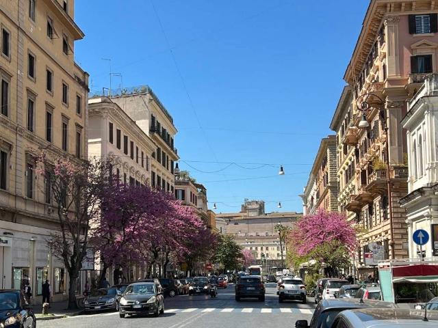 Locale Commerciale in vendita a Municipio Roma I, Roma Capitale