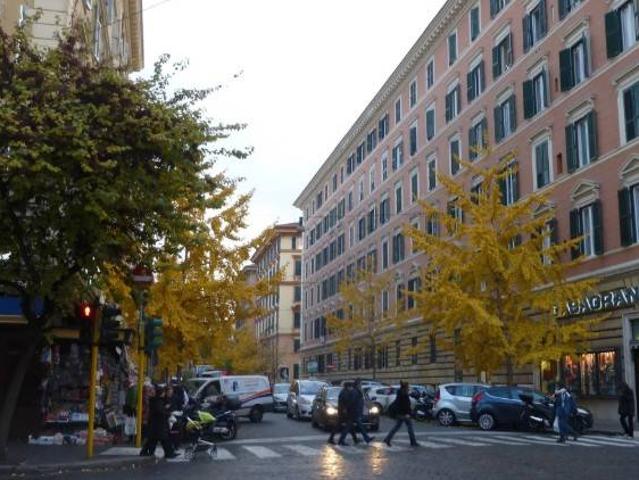 Locale Commerciale in vendita a Prati, Roma