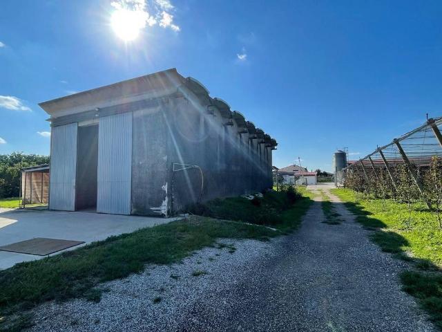 Locale Commerciale in vendita a Ronco All'adige, Veneto
