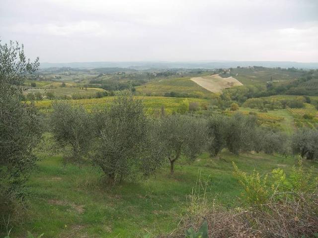Locale Commerciale in vendita a San Gimignano, Toscana