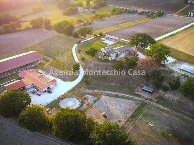 Locale Commerciale in vendita a Marche, Pesaro E Urbino