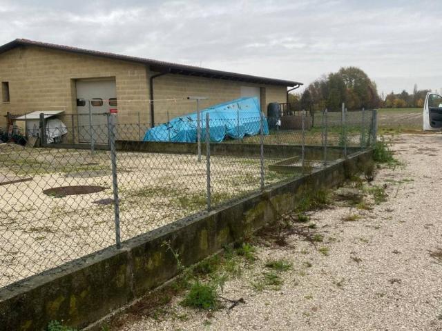 Locale Commerciale in vendita a Caselle de' Ruffi, Villanova Di Camposanpiero