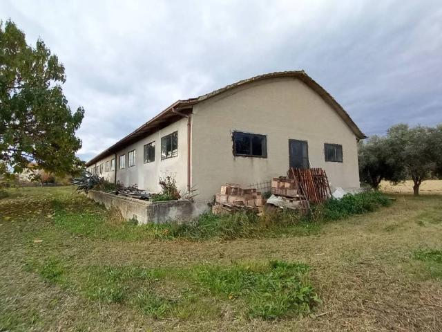 Locale Commerciale in vendita a Marche, Fermo