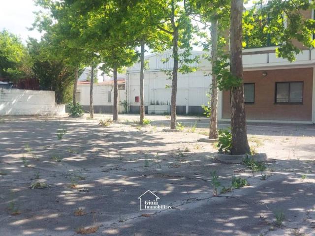 Locale Commerciale in vendita a Sant'eusanio Del Sangro, Abruzzo