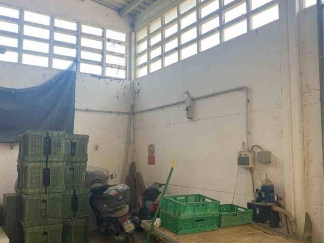 Locale Commerciale in vendita a San Mauro a Mare, Savignano sul Rubicone
