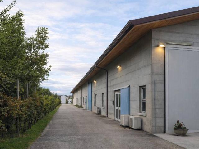Locale Commerciale in vendita a Sedegliano, Friuli-Venezia Giulia