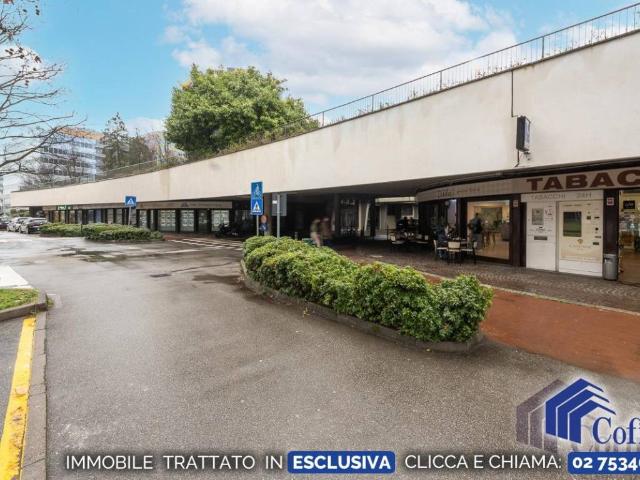 Locale Commerciale in vendita a San Felice, Segrate