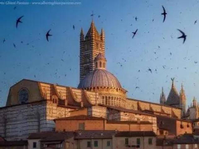 Locale Commerciale in vendita a Ravacciano, Siena