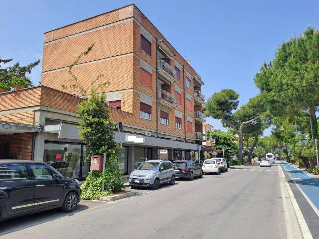 Locale Commerciale in vendita a San Silvestre, Silvi