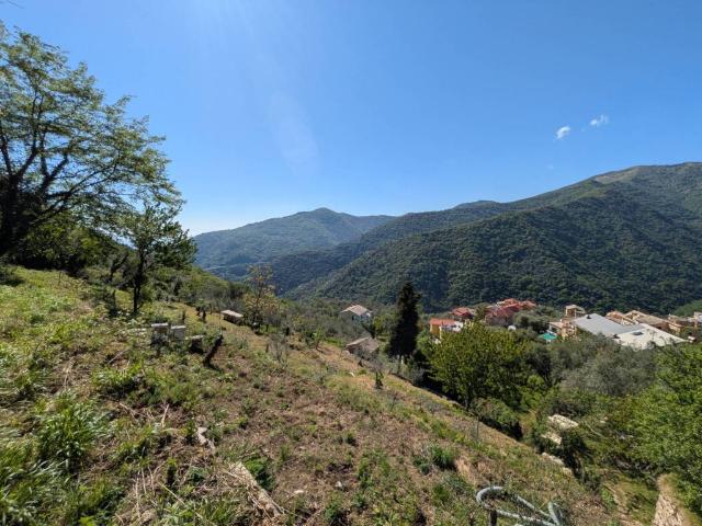 Locale Commerciale in vendita a Lago, Sori