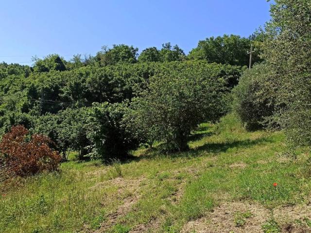Locale Commerciale in vendita a Soriano Nel Cimino, Lazio