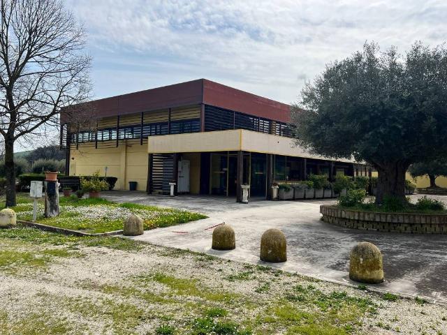 Locale Commerciale in vendita a Marche, Macerata