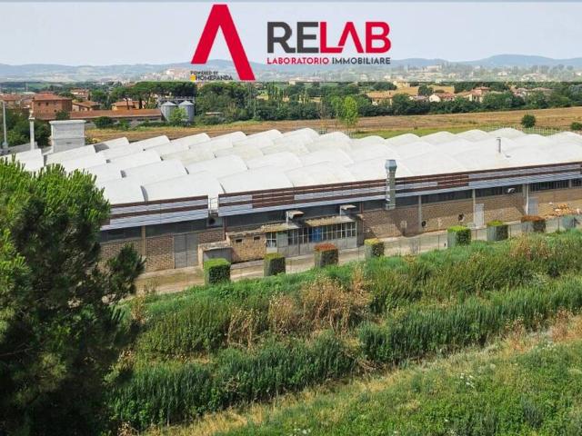 Locale Commerciale in vendita a Torrita, Toscana