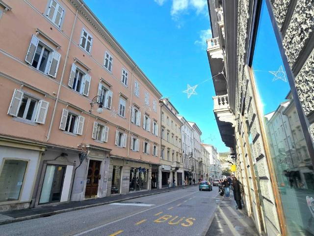 Locale Commerciale in vendita a Città Nuova-Barriera Nuova-San Vito-Città Vecchia, Villa Opicina