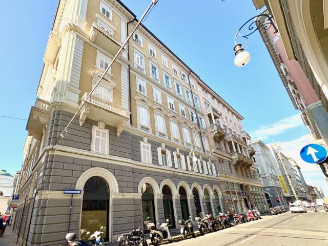 Locale Commerciale in vendita a Città Nuova-Barriera Nuova-San Vito-Città Vecchia, Villa Opicina