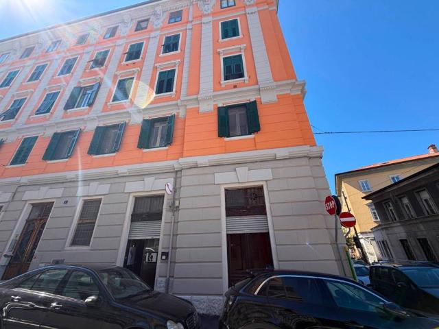 Locale Commerciale in vendita a Barriera Vecchia-San Giacomo, Villa Opicina