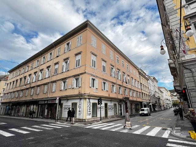 Locale Commerciale in vendita a Città Nuova-Barriera Nuova-San Vito-Città Vecchia, Villa Opicina