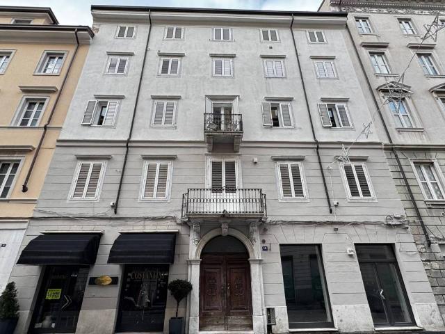 Locale Commerciale in vendita a Città Nuova-Barriera Nuova-San Vito-Città Vecchia, Villa Opicina