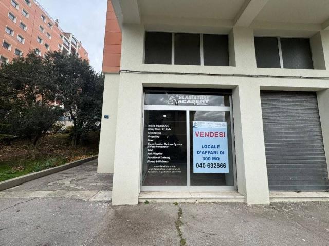 Locale Commerciale in vendita a Servola-Chiarbola-Valmaura-Borgo San Sergio, Villa Opicina