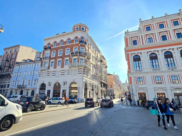 Locale Commerciale in vendita a Città Nuova-Barriera Nuova-San Vito-Città Vecchia, Villa Opicina