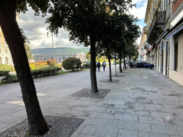 Locale Commerciale in vendita a Città Nuova-Barriera Nuova-San Vito-Città Vecchia, Villa Opicina