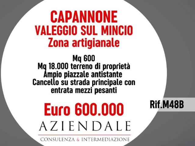 Locale Commerciale in vendita a Borghetto, Valeggio Sul Mincio