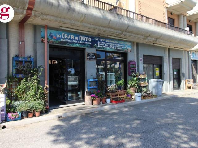 Locale Commerciale in vendita a Vasto, Abruzzo