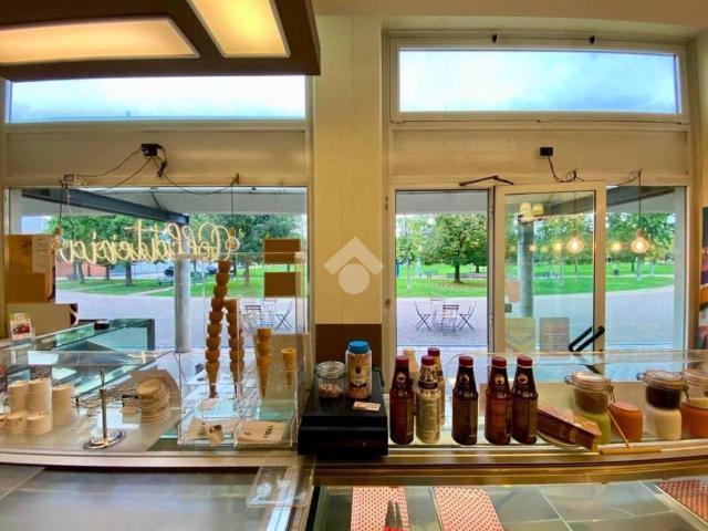 Locale Commerciale in vendita a Ovest, Brenzone