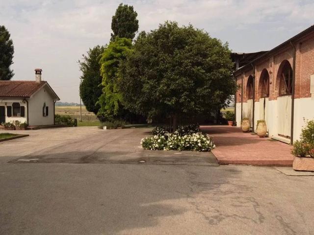 Locale Commerciale in vendita a Vescovana, Veneto