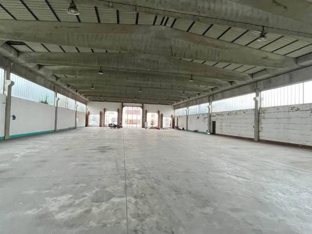 Locale Commerciale in vendita a Salina, Viadana