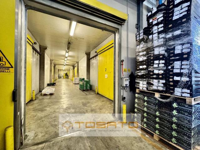 Locale Commerciale in vendita a Vigasio, Veneto