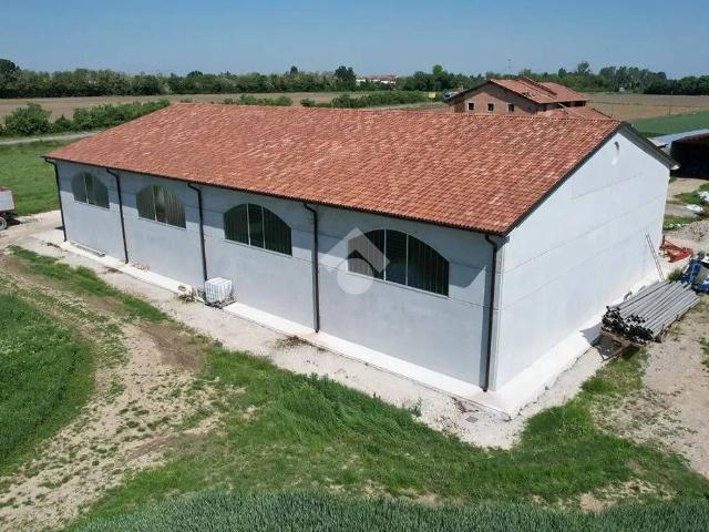 Locale Commerciale in vendita a Barbariga, Vigonza