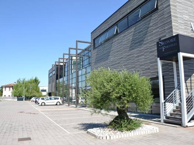 Locale Commerciale in vendita a Zero Branco, Veneto