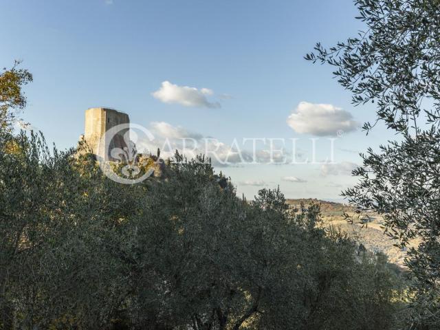 Casa in vendita a Castiglione D'orcia, Toscana