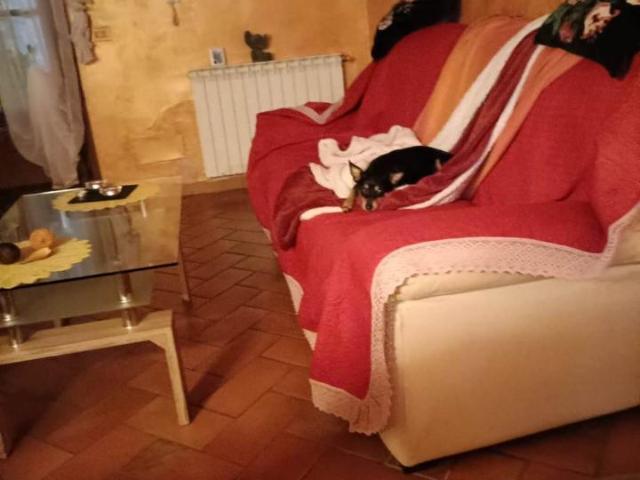 Villa Indipendente in vendita a Unione dei Comuni Circondario dell'Empolese Valdelsa, Empoli