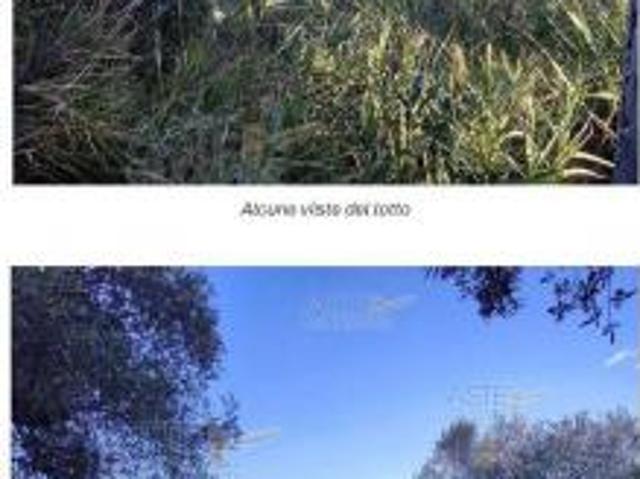 Terreno in vendita a Montesilvano, Abruzzo