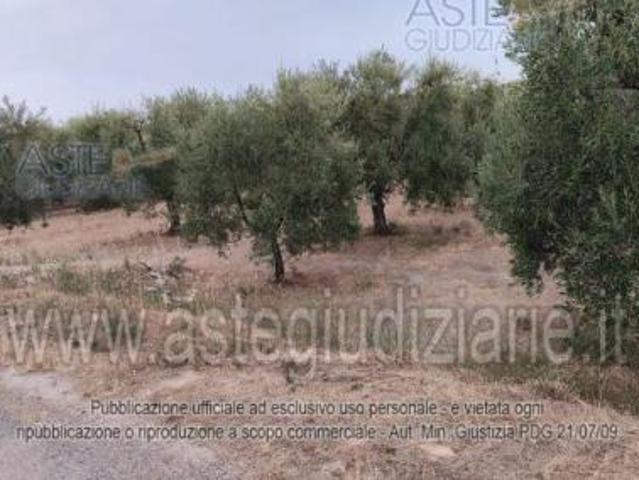 Terreno in vendita a Andria, Barletta-andria-trani