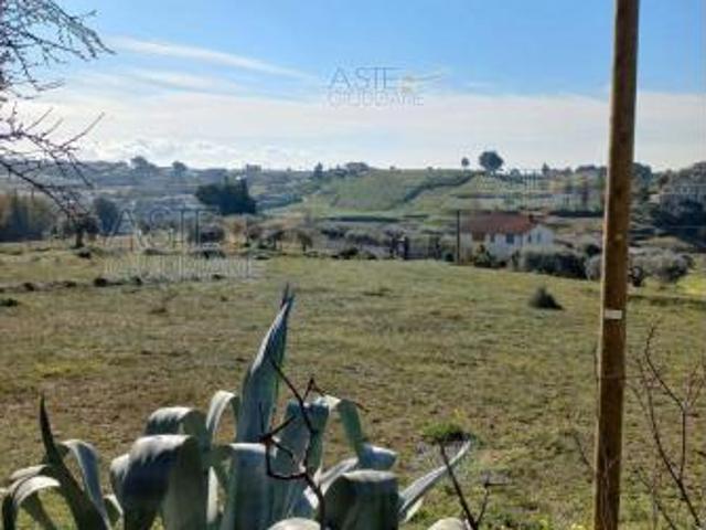 Terreno in vendita a Grammichele, Sicilia