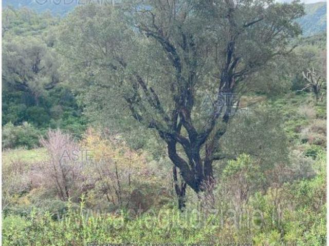 Terreno in vendita a Gonnosfanadiga, Sardigna/Sardegna