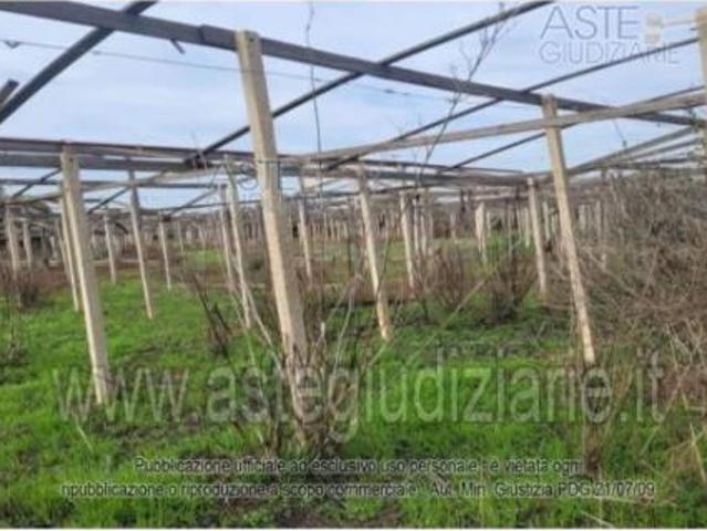 Terreno in vendita a Vittoria, Sicilia