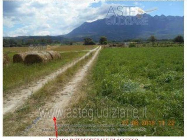 Terreno in vendita a Altavilla Silentina, Campania