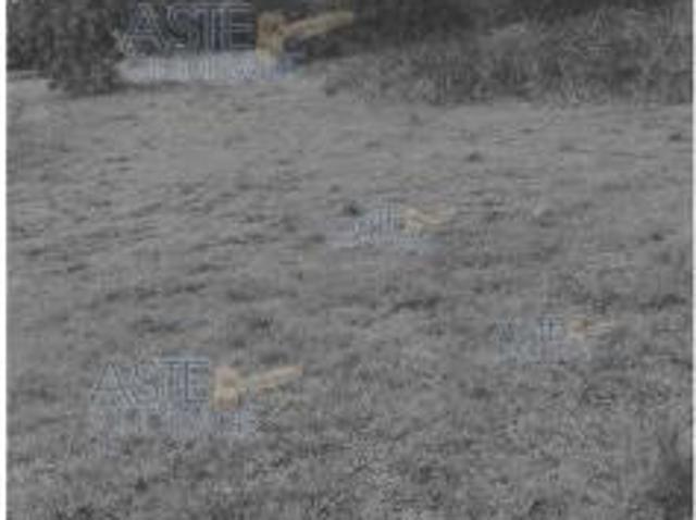 Terreno in vendita a Puglia, Barletta-andria-trani
