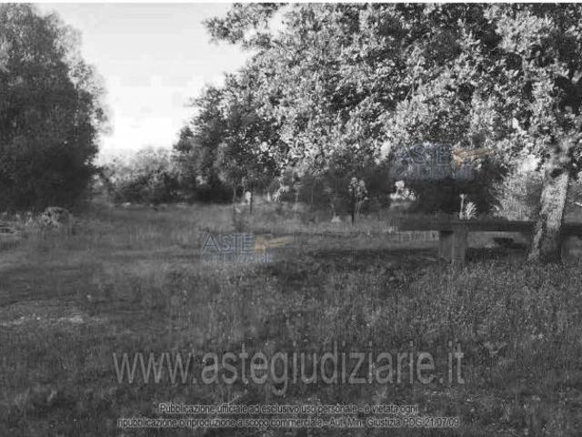 Terreno in vendita a Puglia, Taranto