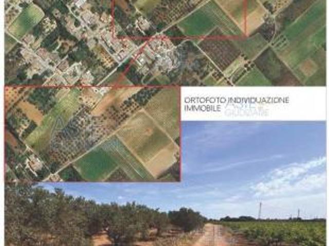 Terreno in vendita a Marsala, Sicilia