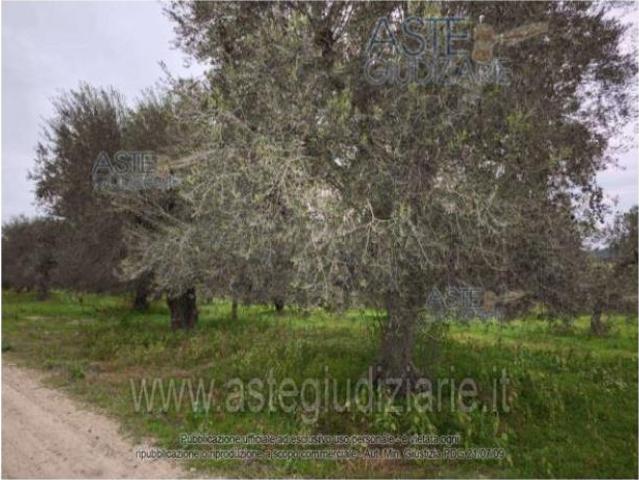 Terreno in vendita a Puglia, Taranto