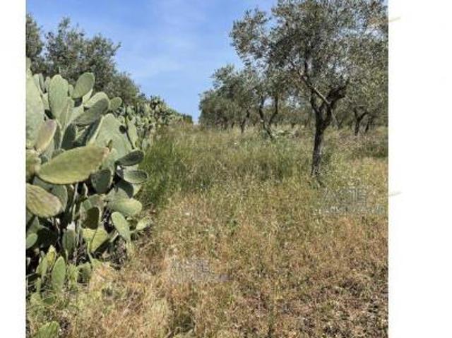 Terreno in vendita a Puglia, Bari