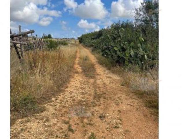 Terreno in vendita a Puglia, Bari